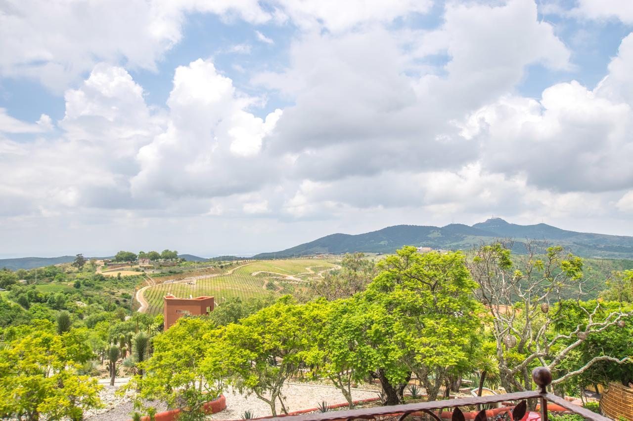 Hotel Camino De Vinos Гуанахуато Экстерьер фото